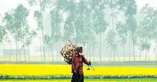 মধ্য মাঘে বসন্তের আভাস; তাপমাত্রা বাড়ছে দেশের বিভিন্ন অঞ্চলে